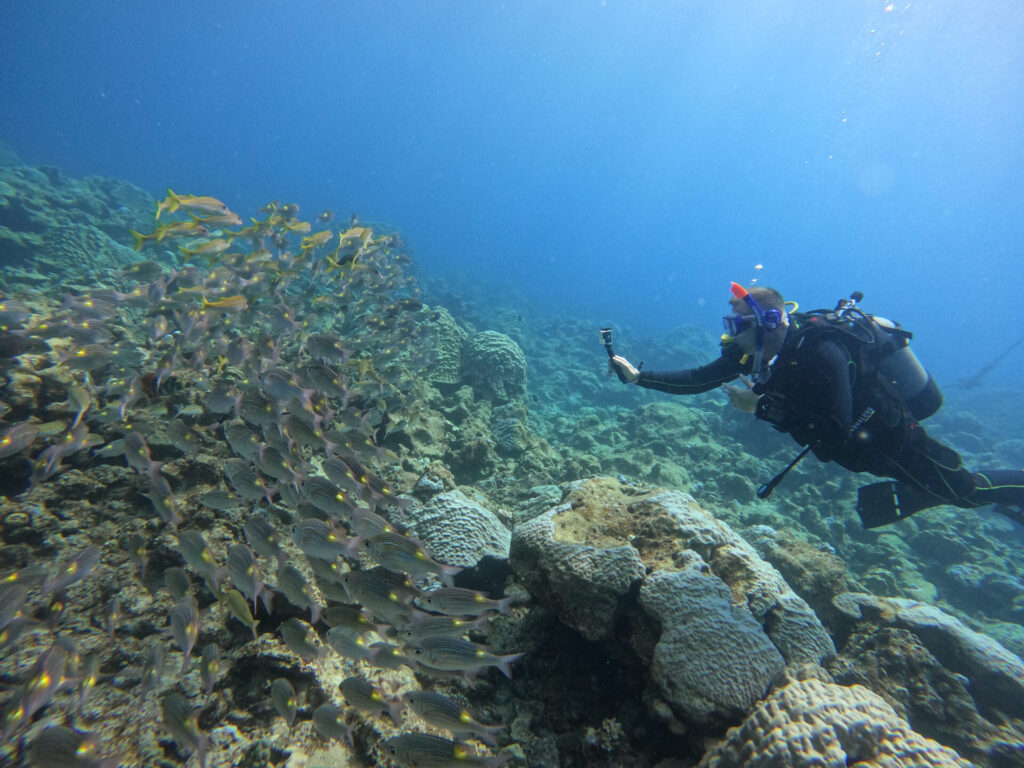 fundiving_Amamioshima