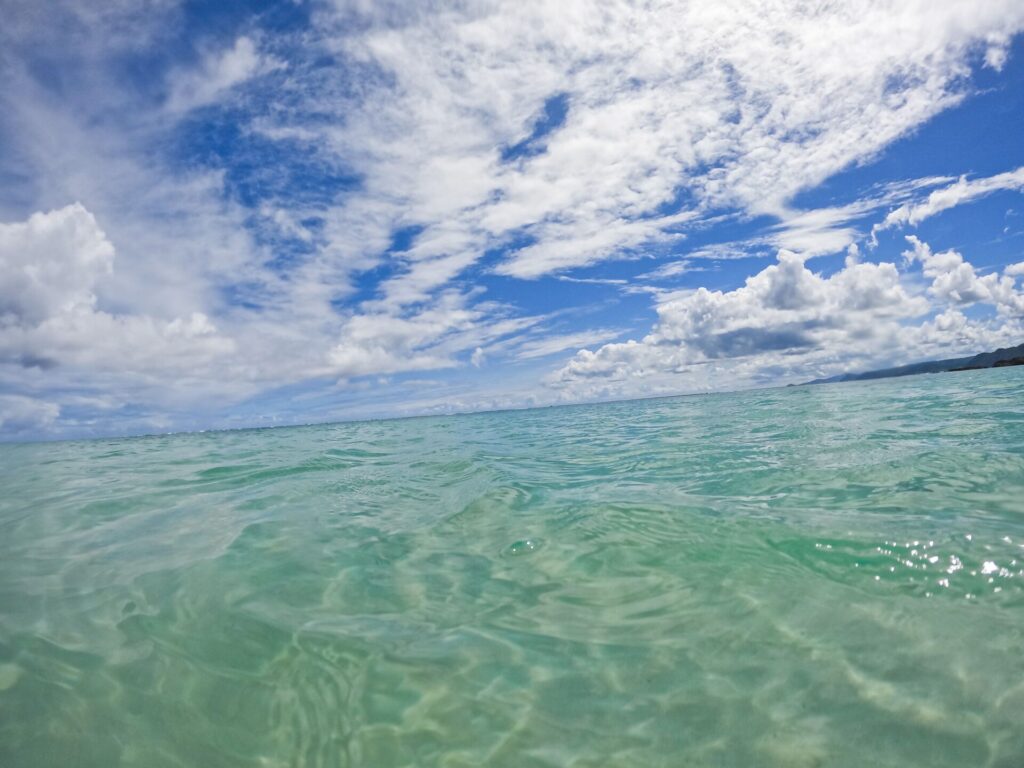 ウミガメシュノーケル_奄美大島