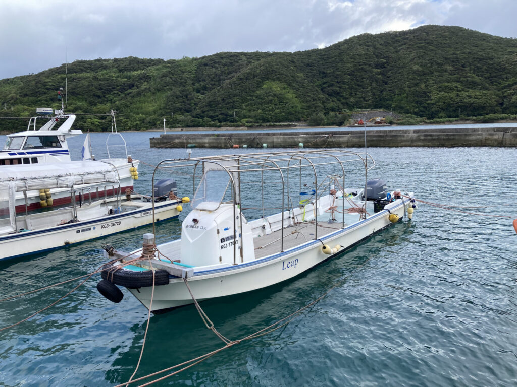 奄美大島_台風_係留中の船