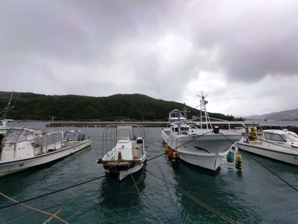 奄美大島_台風