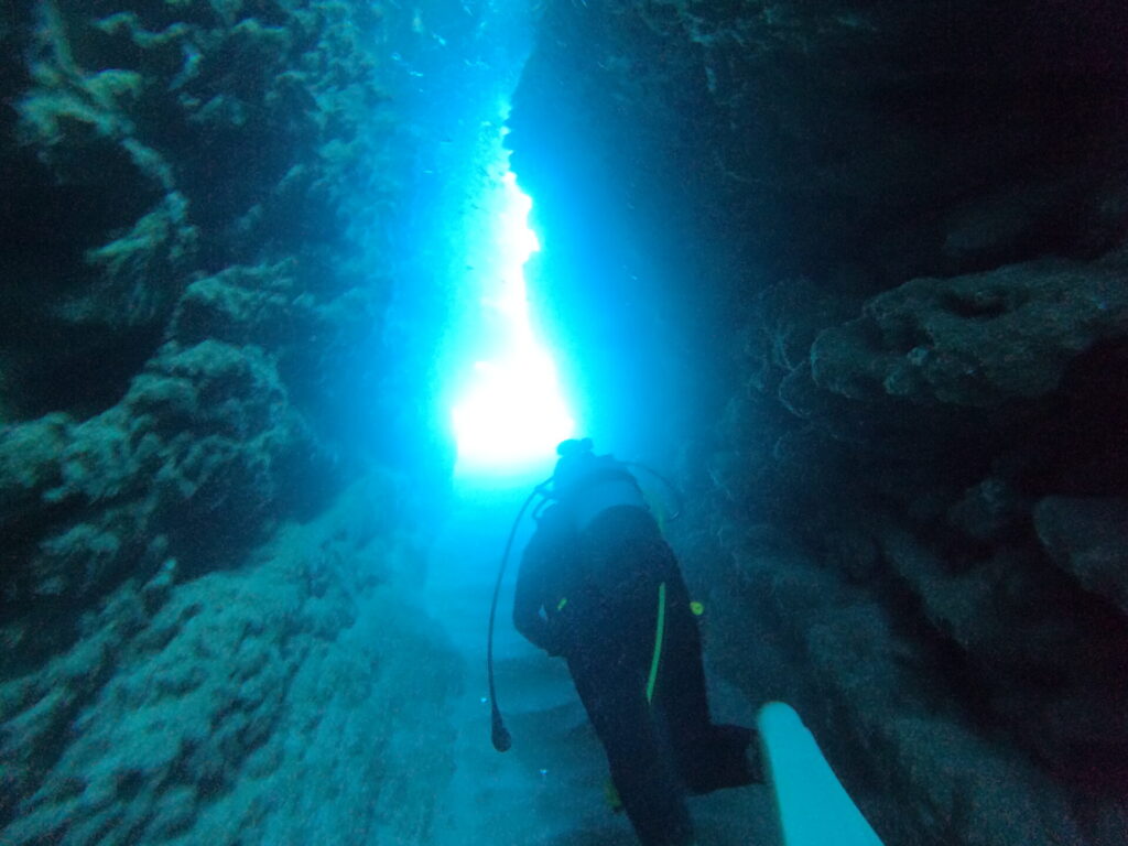 奄美大島_地形