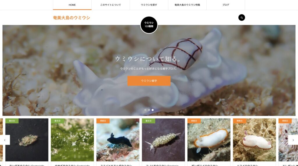 作成中の奄美大島ウミウシHP