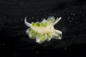 自然が生み出す造形美に感動