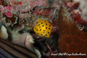 後ろ姿もかわいい！！