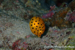 ご飯食べてる?かわいい！！