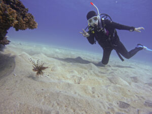 ファンダイビングの風景