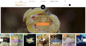 現在登録数150種。目指せ300種！