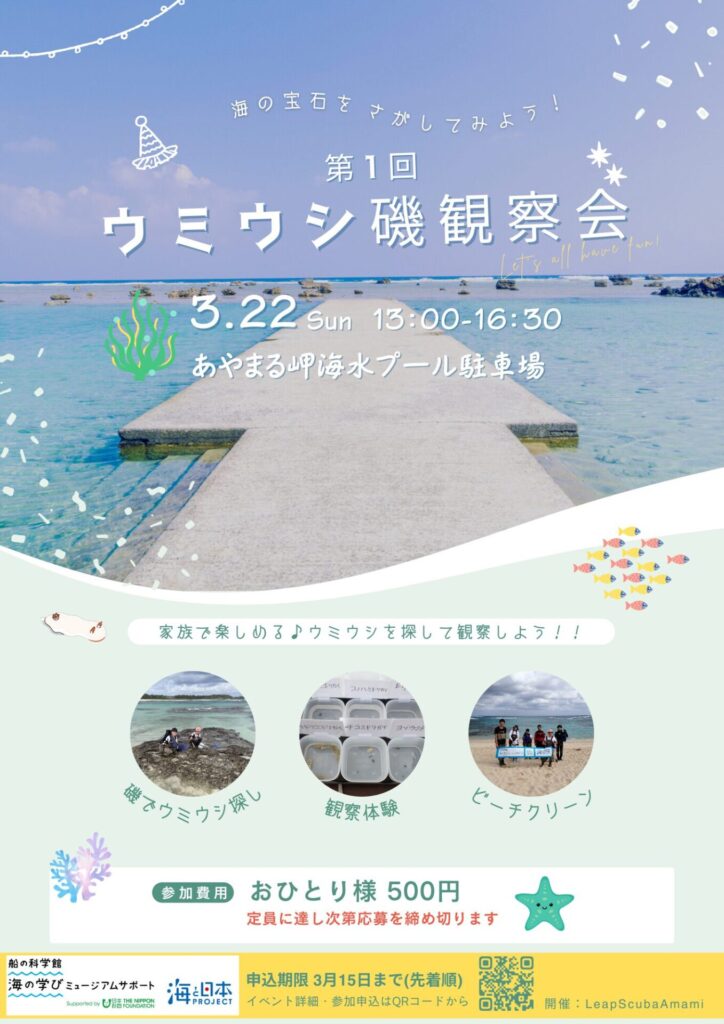 ウミウシ観察会@奄美