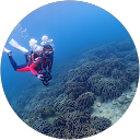 Hiroko profile picture