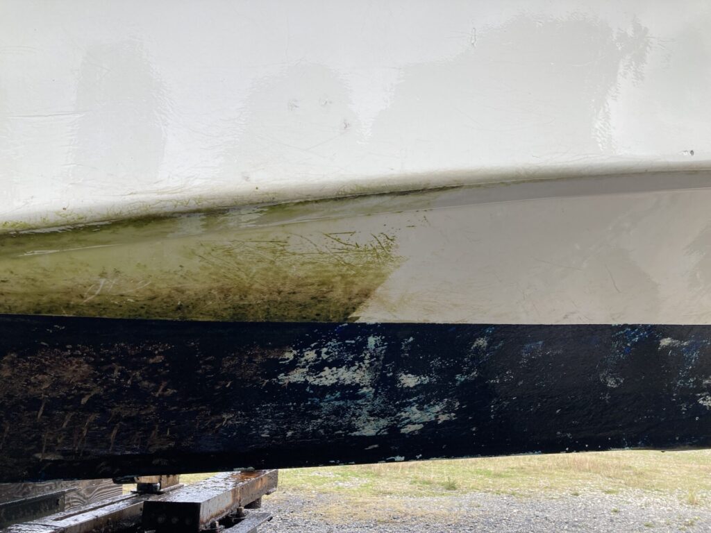 こびりついた苔や固着生物を綺麗に！