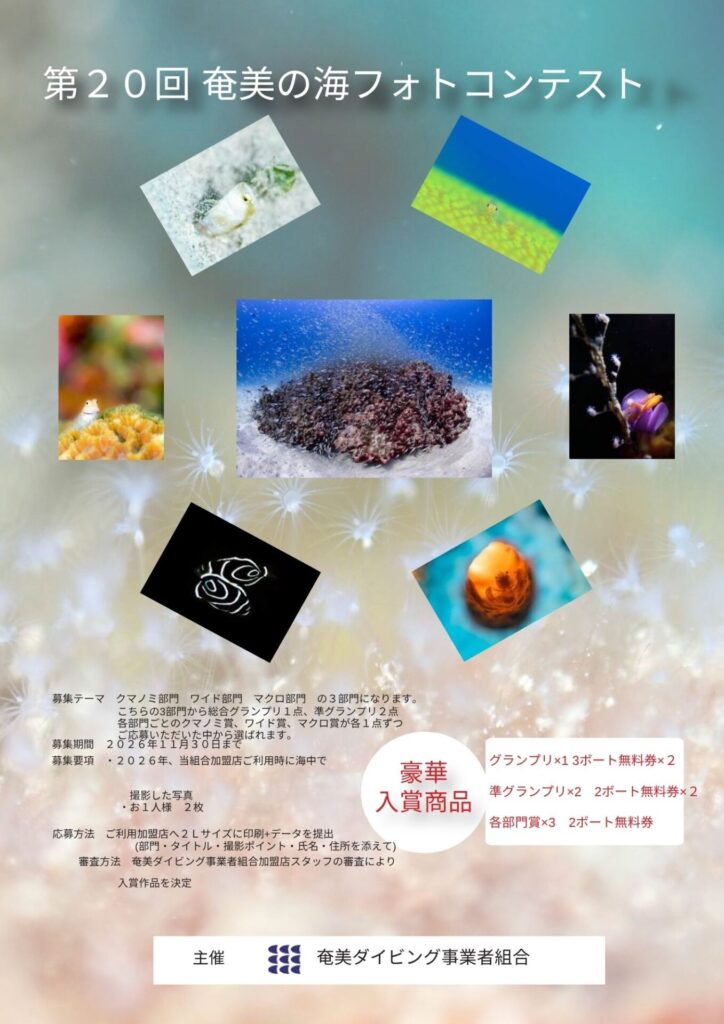 奄美の海フォトコンテスト