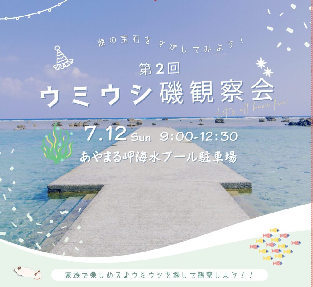 第2回ウミウシ観察会