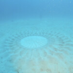 ミステリーサークル完成形